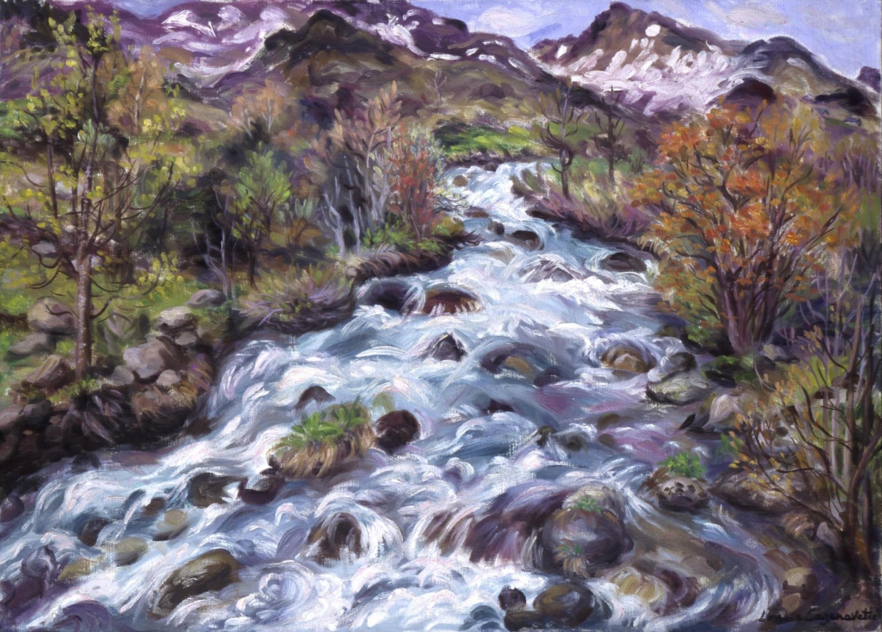 paysage