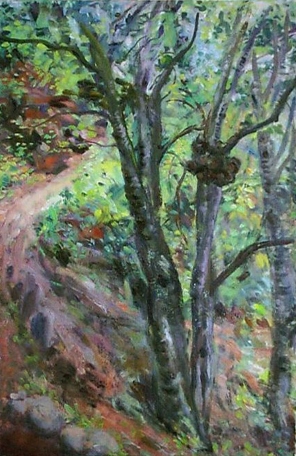 paysage