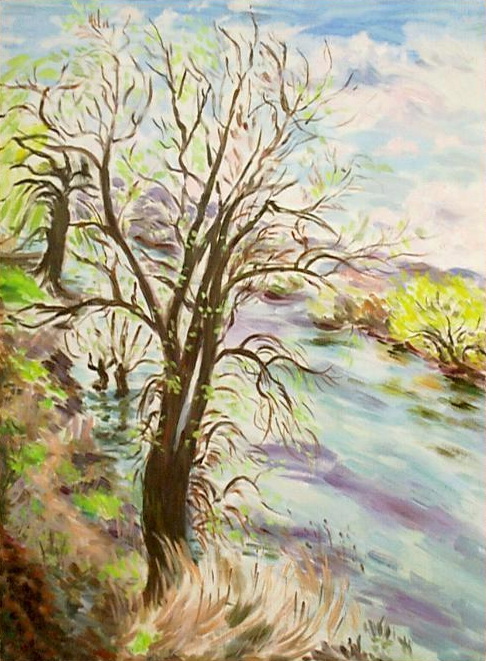paysage