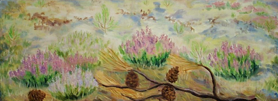 paysage