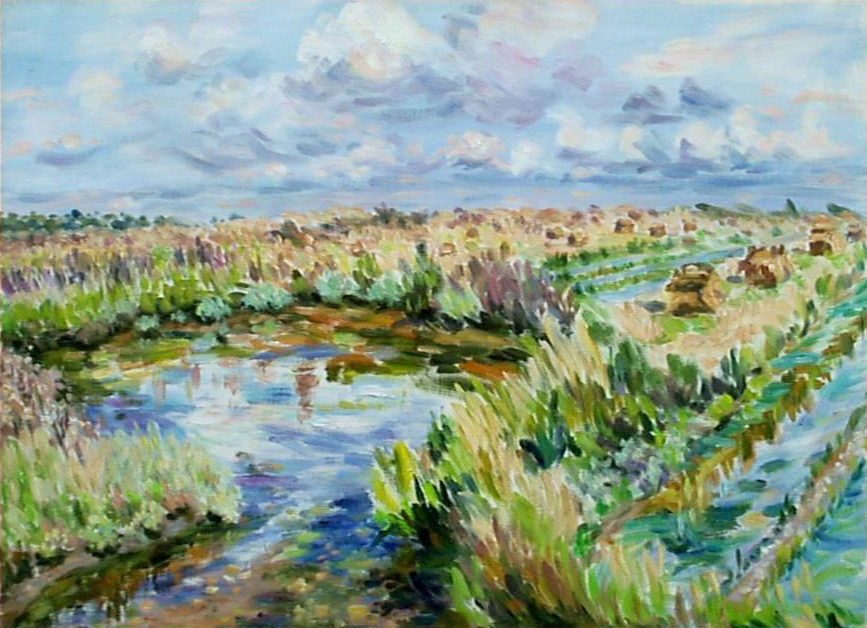 paysage