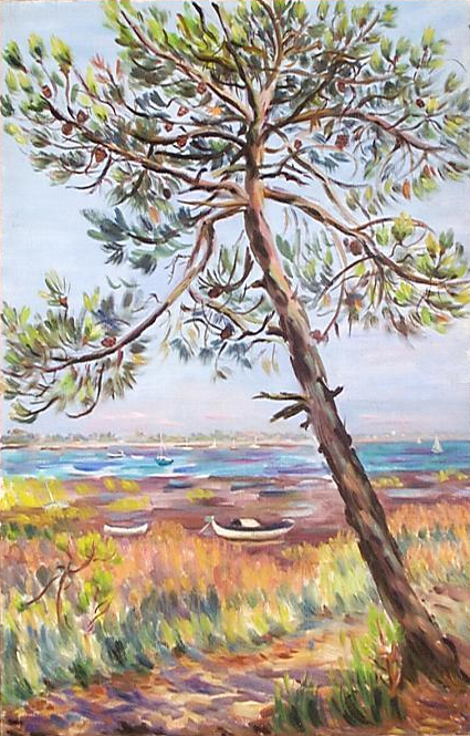 paysage