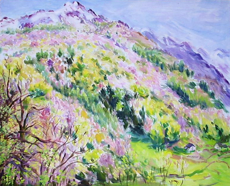 paysage