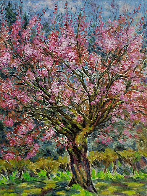 paysage