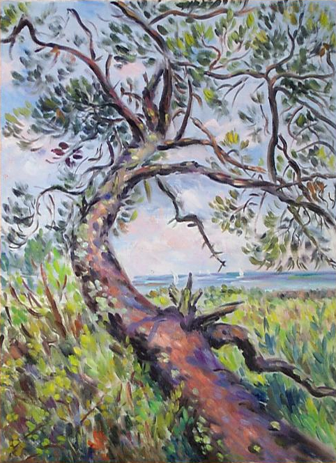 paysage