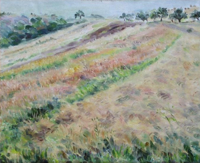 paysage