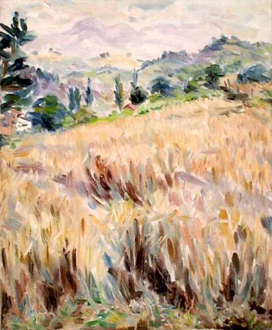 paysage