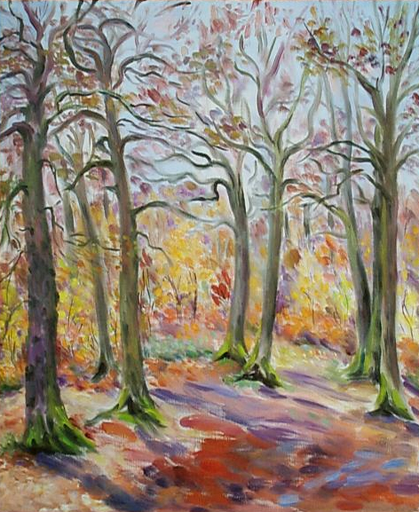 paysage