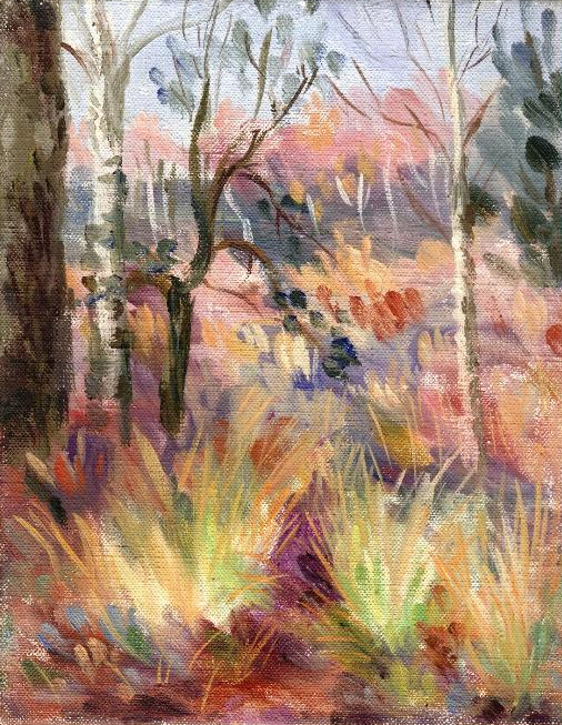 paysage