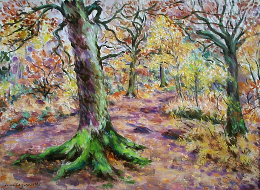 paysage