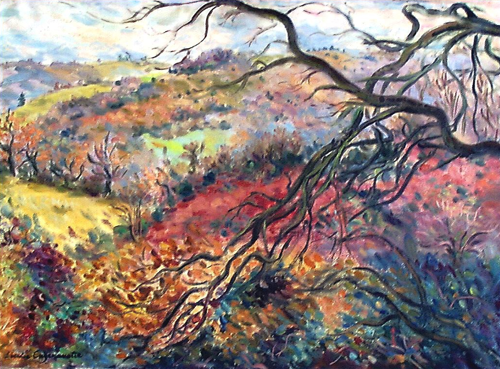 paysage