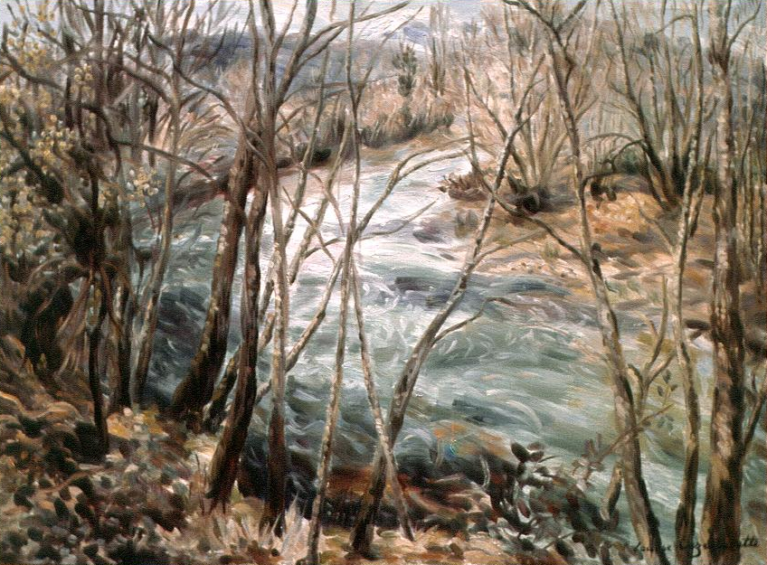 paysage