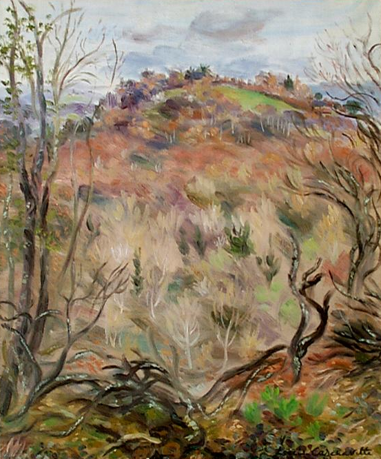 paysage