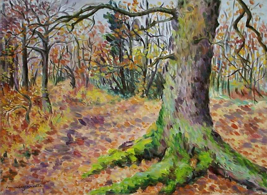 paysage
