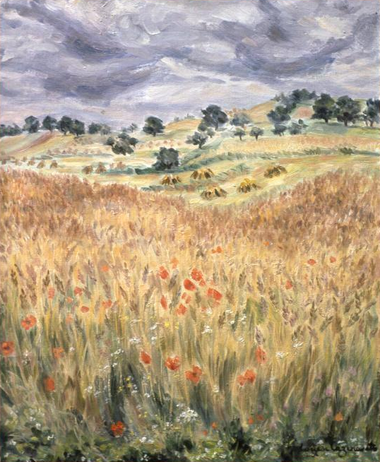 paysage