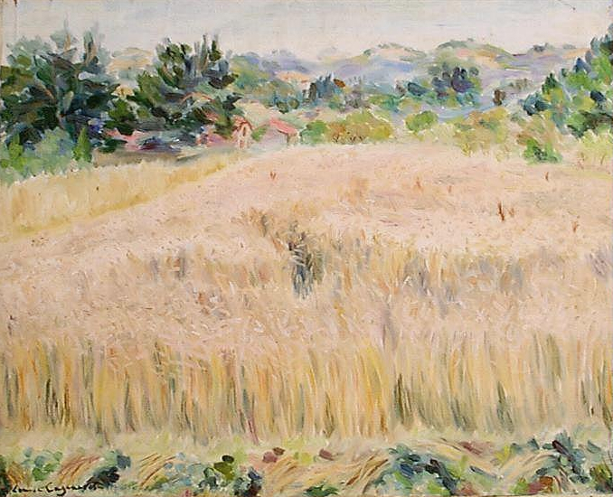 paysage