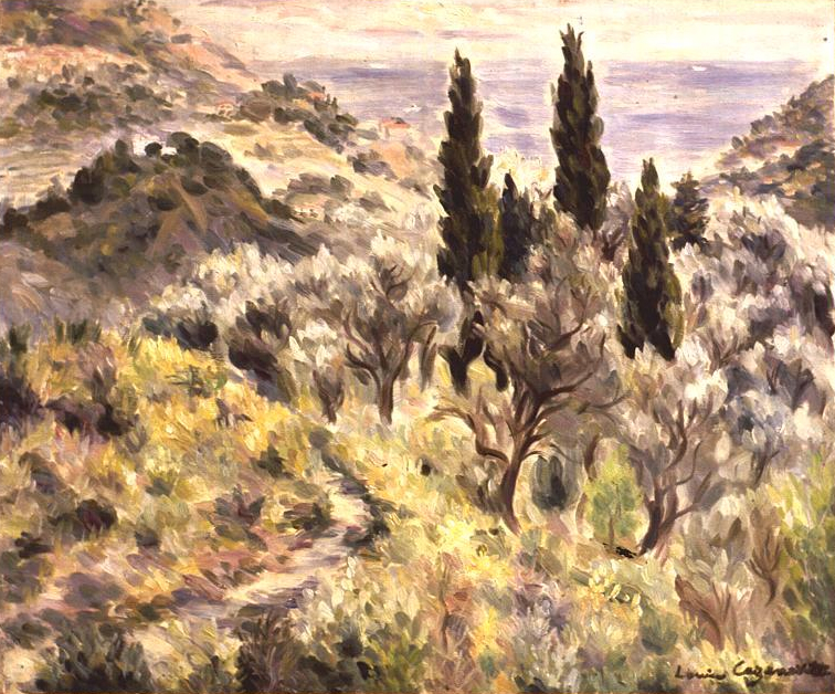 paysage