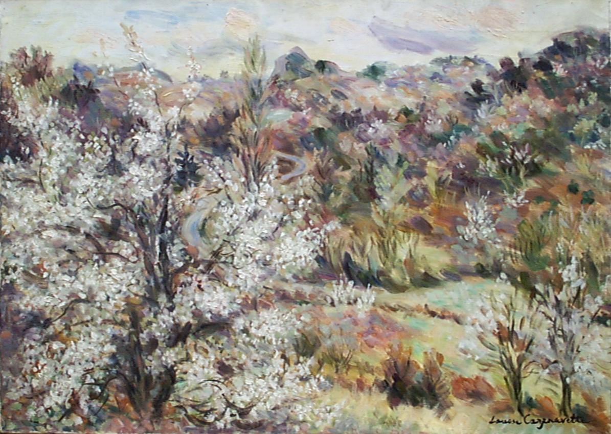 paysage