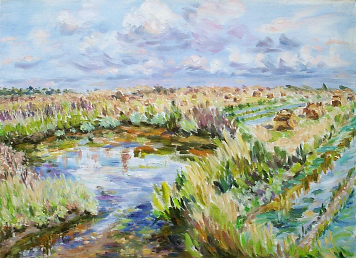 paysage