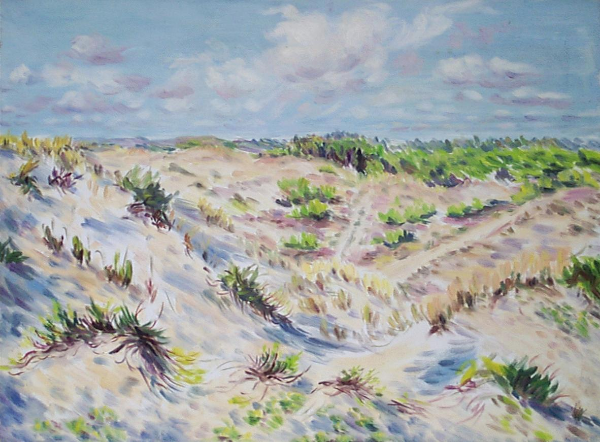 paysage