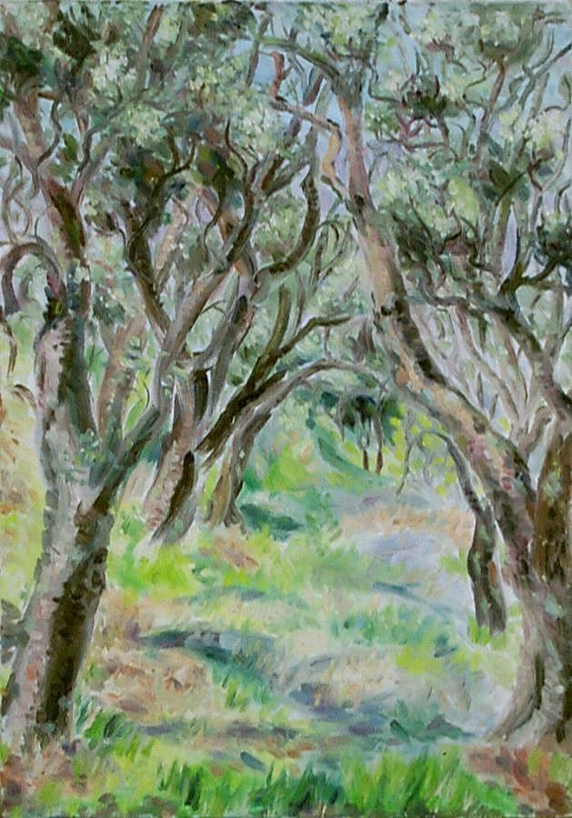 paysage