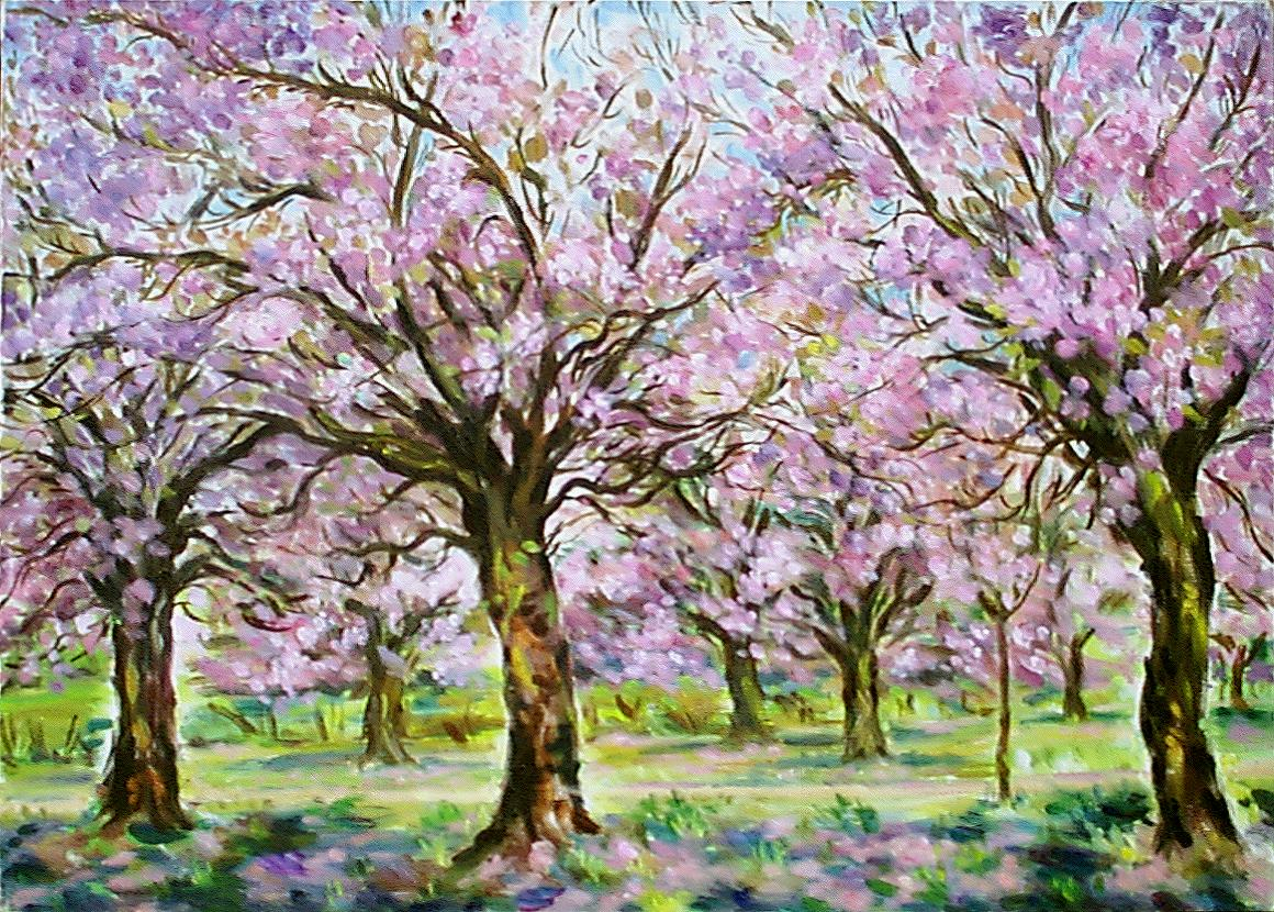 paysage