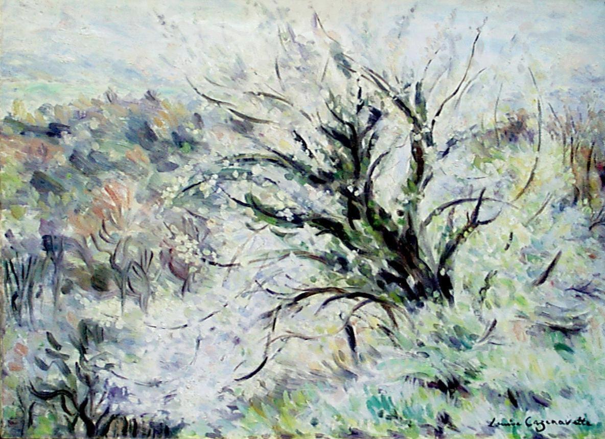 paysage