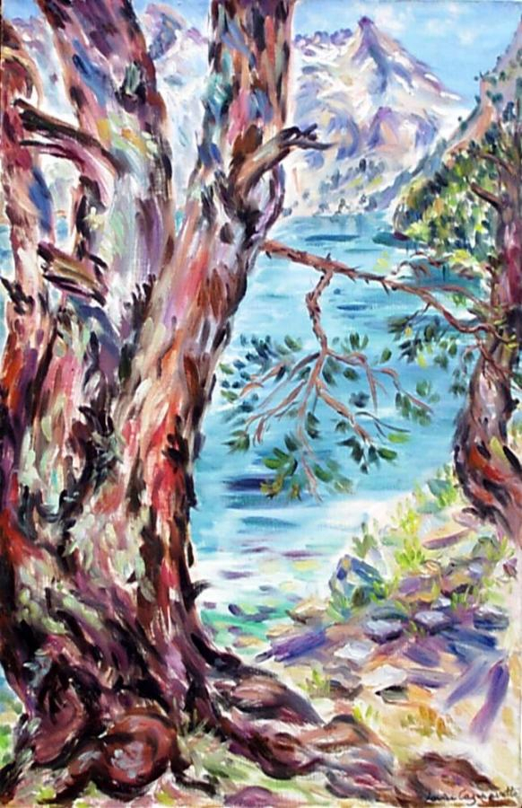 paysage