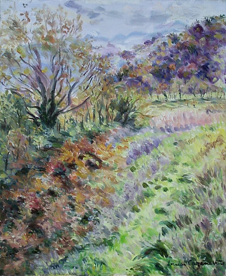 paysage