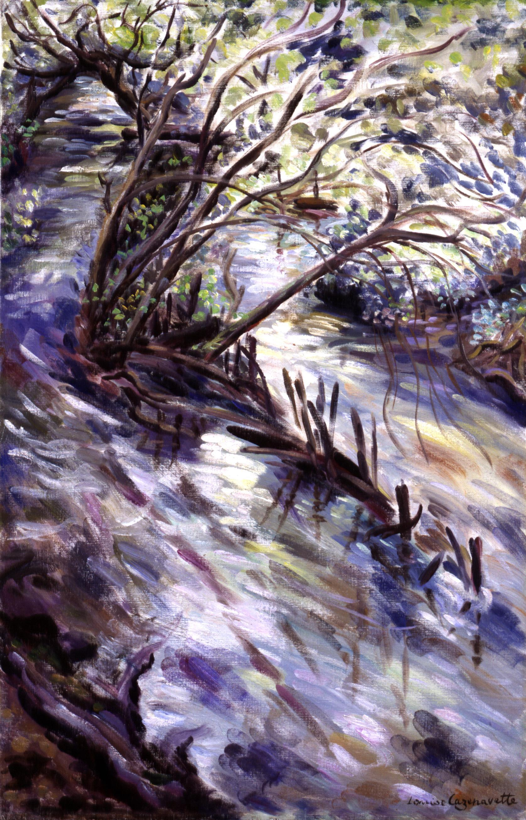paysage